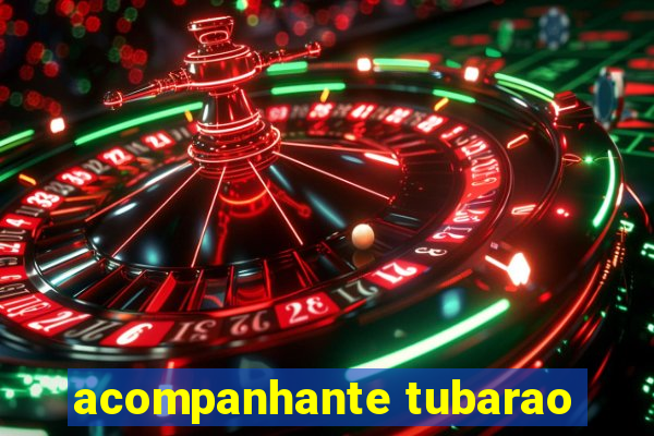 acompanhante tubarao